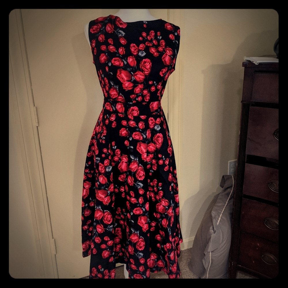 NWT Black and red rose  A- Line dress